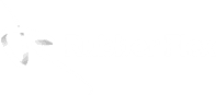 RubberFlex
